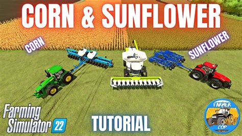 How To Grow Corn Sunflowers Farming Simulator Youtube