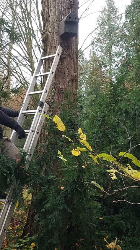 Nisthilfe C Karsten Keller Naturgucker De Enjoynature Net