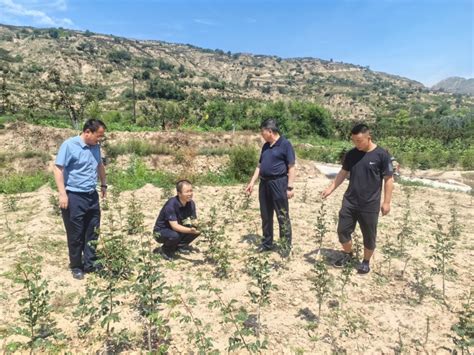 林果所科技人员赴积石山县开展调研和技术指导 甘肃省农业科学院 林果花卉研究所