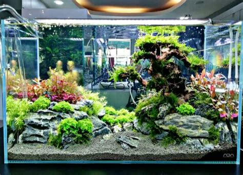 12 Cara Membuat Aquascape Sederhana Untuk Pemula Lengkap Beserta