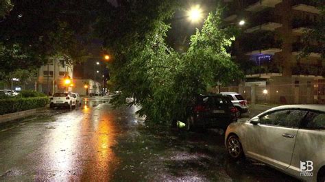 Cronaca Maltempo Milano Nubifragio Notturno Alberi Caduti E Danni