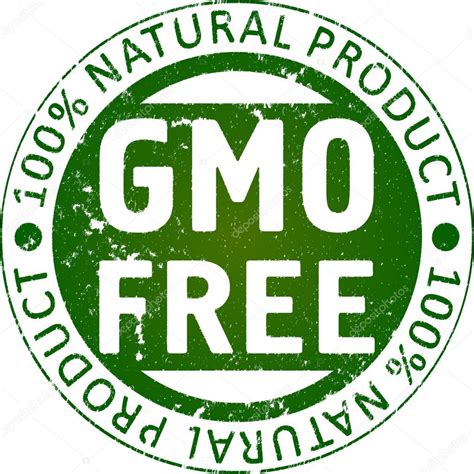 GMO free rubber stamp. — Stock Vector © antonshpak #65073843