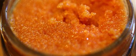 Икра сазана – как приготовить в домашних условиях вкусно