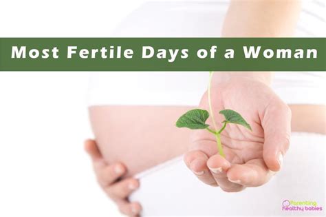 When Is A Woman Most Fertile