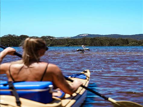 Noosa Everglades Self Guided Kayak Adventure Happy Travels