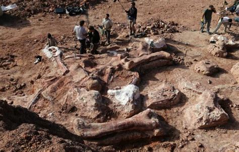 Fakta Dinosaurus Yang Diklaim Pertama Kali Ditemukan Di India