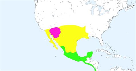 Historia Regiones Geograficas Del Mexico Antiguo The Best Porn Website