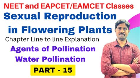 Agents Of Pollination Water Pollination Sexual Reproduction In Flowering Plants Part 15