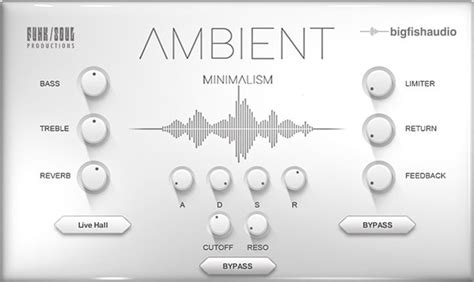 Ambient Minimalism Big Fish Audio Bestservice En