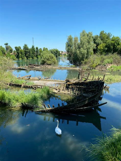 Passerella Dei Burci Parco Regionale Del Fiume Sile