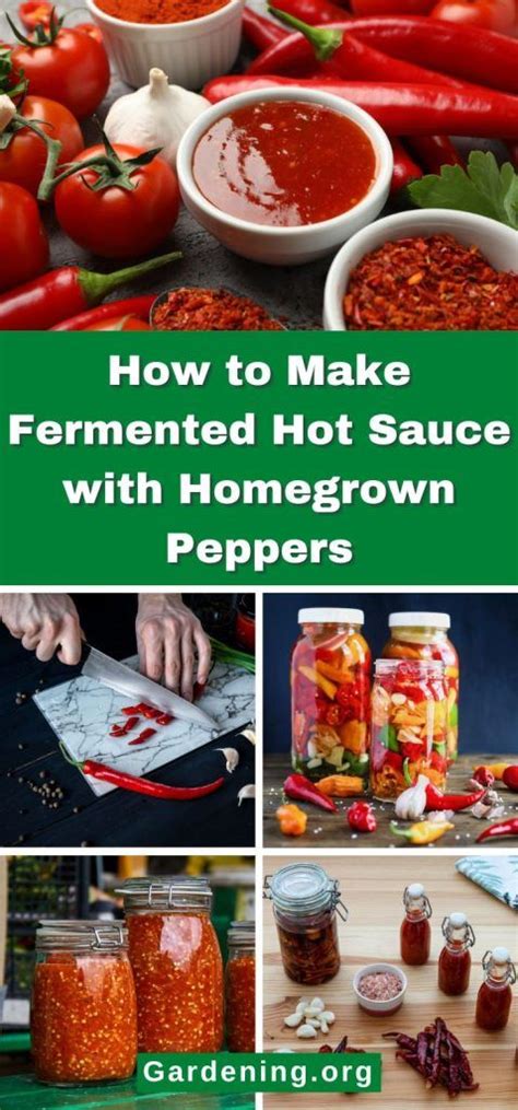 How To Make Fermented Hot Sauce With Homegrown Peppers