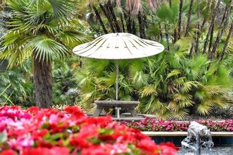 Florida Botanical Gardens (Largo) - 2021 All You Need to Know BEFORE You Go (with Photos ...