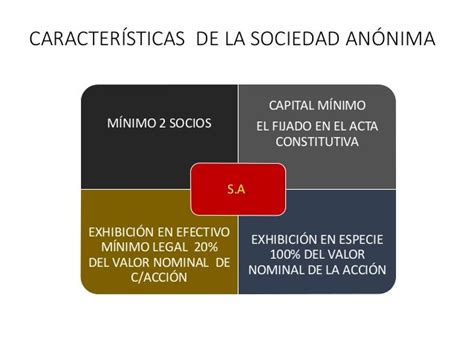 Caracteristicas De Sociedad Anonima