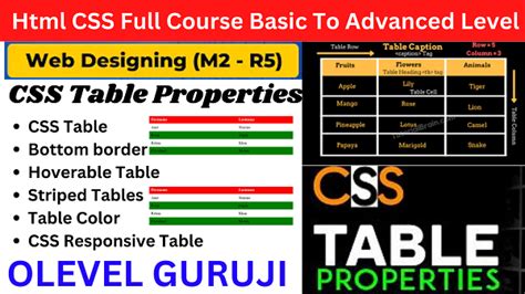 Table Properties In Css Archives