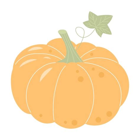 Premium Vector Pastel Boho Pumpkin Isolated On White Background