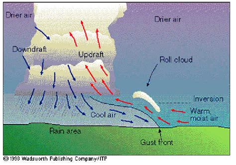 Life Cycle of a Thunderstorm | North Carolina Climate Office