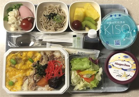 Anaの機内食セットと100均アイテムで機内食ごっこ Ltspace