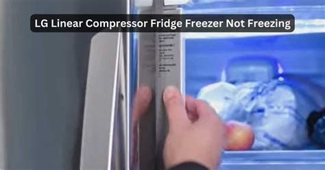 LG Linear Compressor Fridge Freezer Not Freezing Fixing Tips