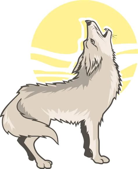 Coyote Stock Vectors Royalty Free Coyote Illustrations Depositphotos®