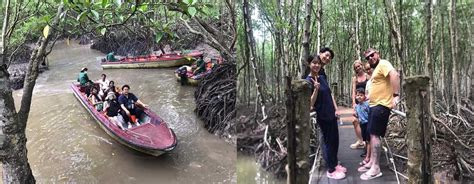 Full Day Can Gio Mangrove Forest By Scooter Scooter Saigon Tours