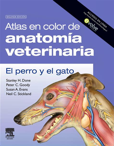 Atlas En Color De Anatom A Veterinaria El Perro Y El Gato