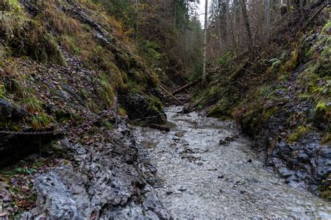 Parc National Du Paradis Slovaque Une Randonn E Plut T Surprenante