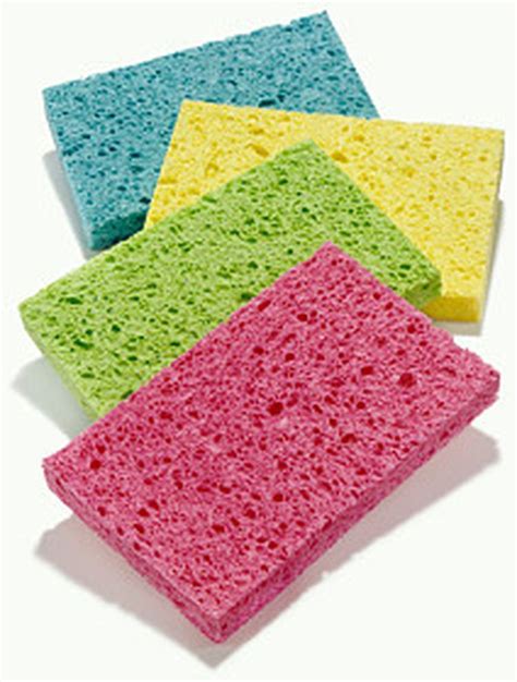 Learn The Differences Between The 5 Types of Cleaning Sponges | Sponge cleaning, Types of ...