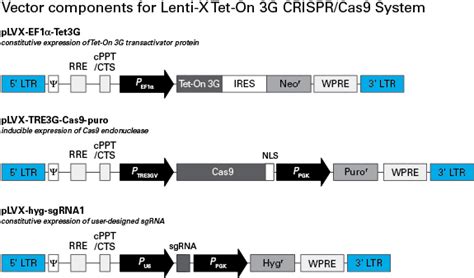 Lenti X Tet On 3G CRISPR Cas9 System