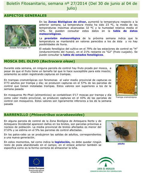 Yo Cultivo Aceite Verdial De La Axarquía Boletín Fitosanitario Del Olivar En Málaga Semana 27