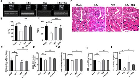 SciELO Brasil Resveratrol As A Cardioprotective Adjuvant For 5