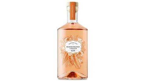 Aldi gin: Aldi's best budget gins for 2021