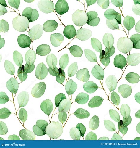 Seamless Watercolor Pattern With Eucalyptus Leaves On A White