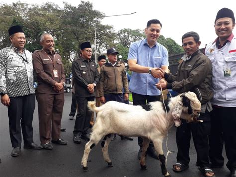 Malang Post Walikota Sutiaji Salurkan Hewan Kurban Bpf