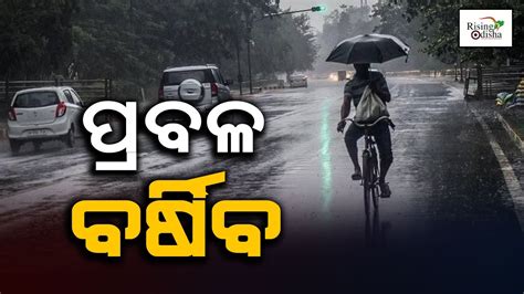 Heavy Rainfall Warning Issued By IMD In Bhubaneswar Several Districts