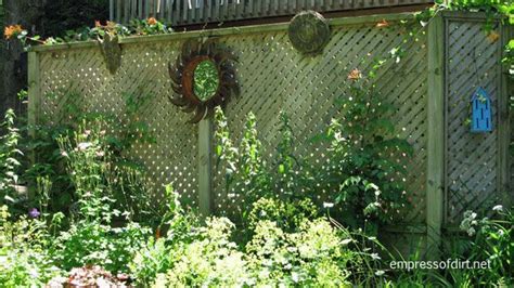 Ideas For Better Backyard Privacy Empress Of Dirt Privacy