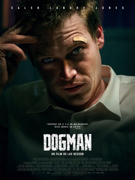 Affiche Du Film Dogman Photo 9 Sur 12 Allociné