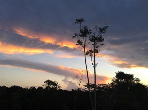 Free Images Landscape Tree Nature Horizon Cloud Sun Sunrise