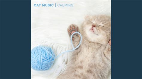 Relaxing Cat Music Youtube