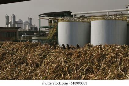 753 Sugarcane Ethanol Production Images, Stock Photos, 3D objects ...