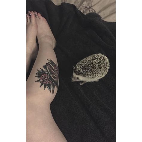 Rosie Phillips🌹 on Instagram: “Late night cuddles with my spiky floof 💙 ...