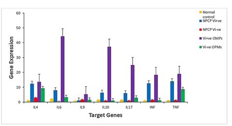 The Graphical Presentation Of Cytokines Gene Expression By Real Time