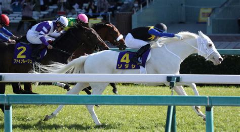 【桜花賞】ソダシがコースレコードv、白毛馬初のクラシック制覇 デビュー5連勝でg1通算2勝目― スポニチ Sponichi Annex ギャンブル