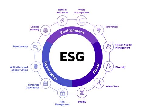 ESG SUSTAINABILTY REPORTING SERVICES Conserve Solution