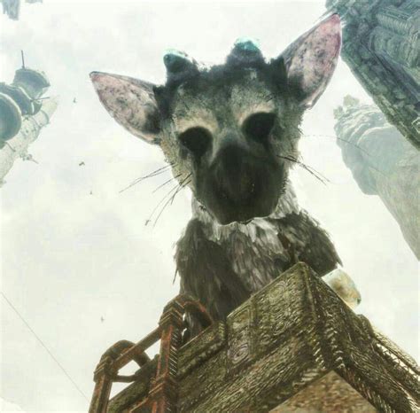 If Trico was a pokemon | Pokémon Amino