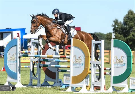 Monte Classico Makes His Move At Ocala Jockey Club Cci The