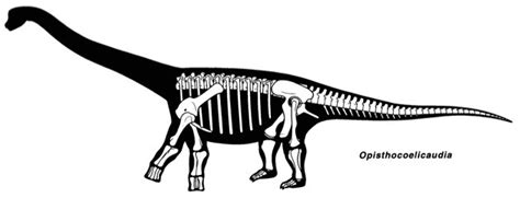 Opisthocoelicaudia Pictures & Facts - The Dinosaur Database