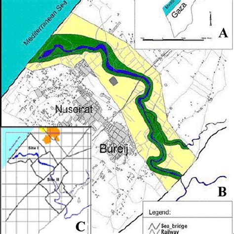 Pdf The Avifauna Of Wadi Gaza Nature Reserve Gaza Strip Palestine