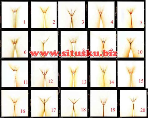 Jenis Vagina Lengkap Dengan Gambarnya KASKUS