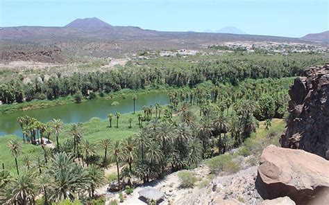 Expectativa Por Las Fiestas De San Ignacio El Sudcaliforniano