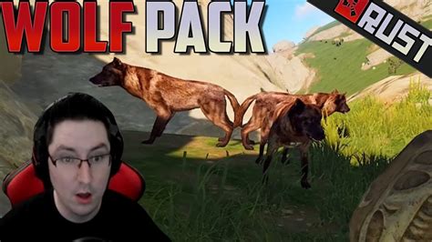 Wolf Pack Rust Youtube